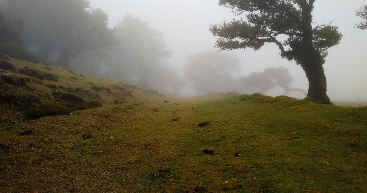 What is 42? - Company Overview & Details