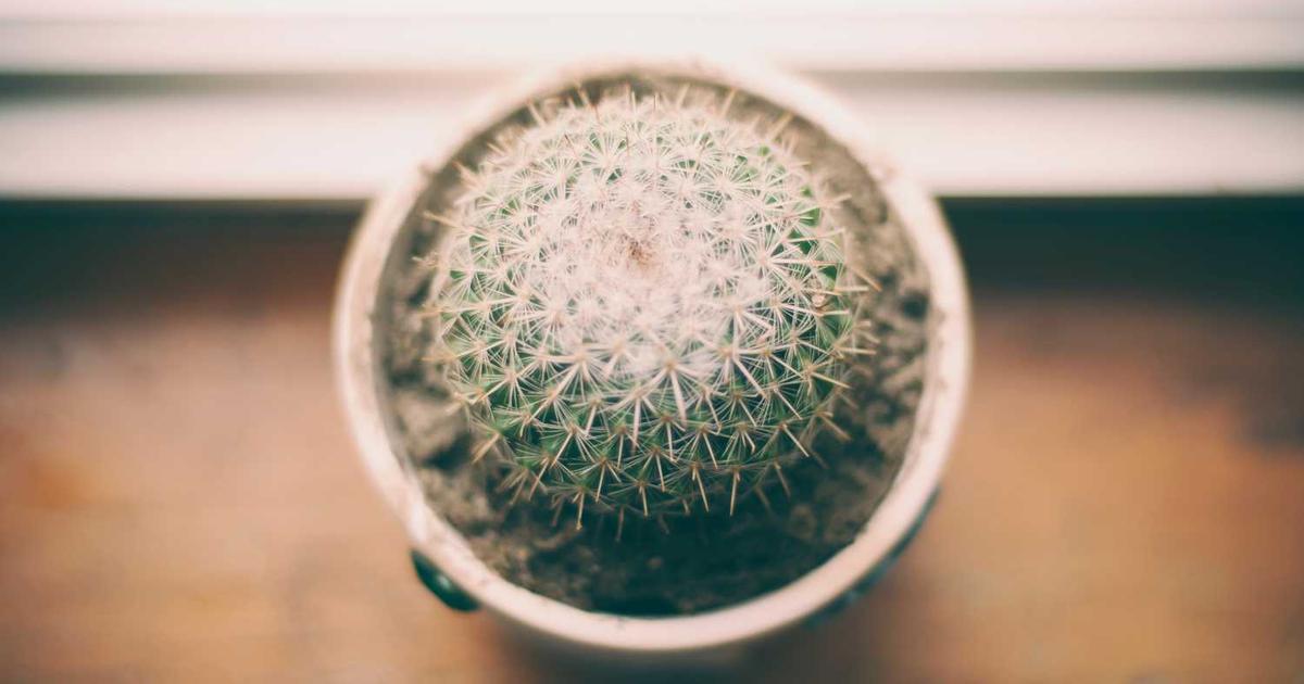 What is Altro? - Company Overview & Details