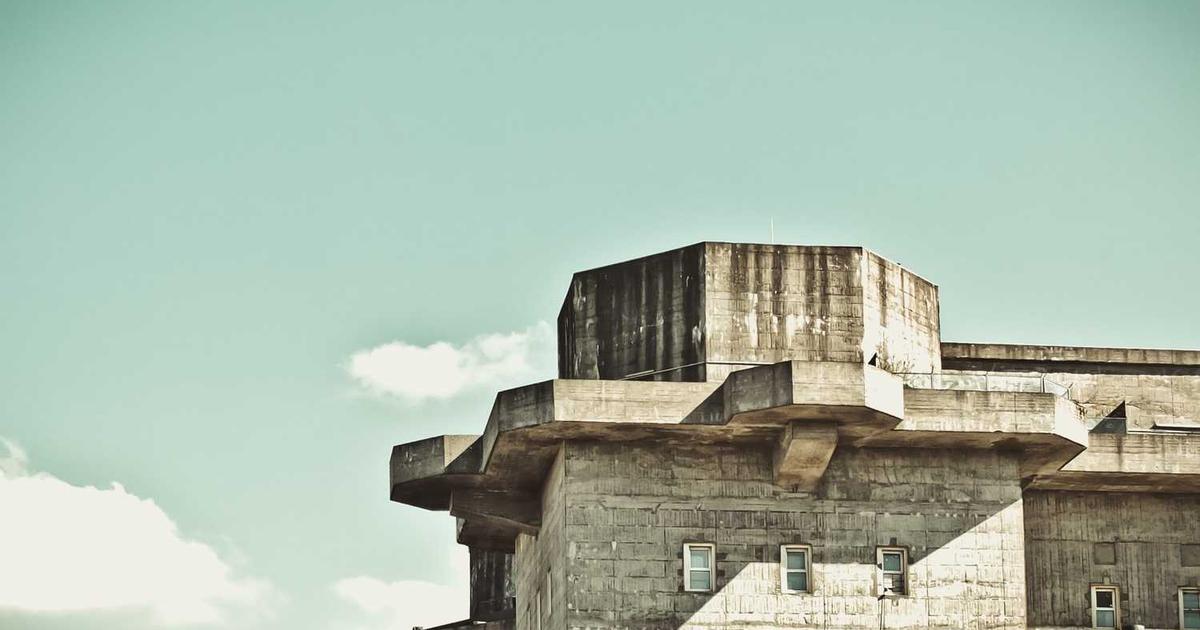 What is Anima? - Company Overview & Details