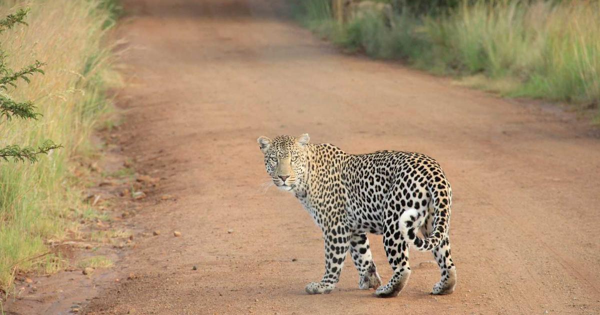 What is Arketa? - Company Overview & Details