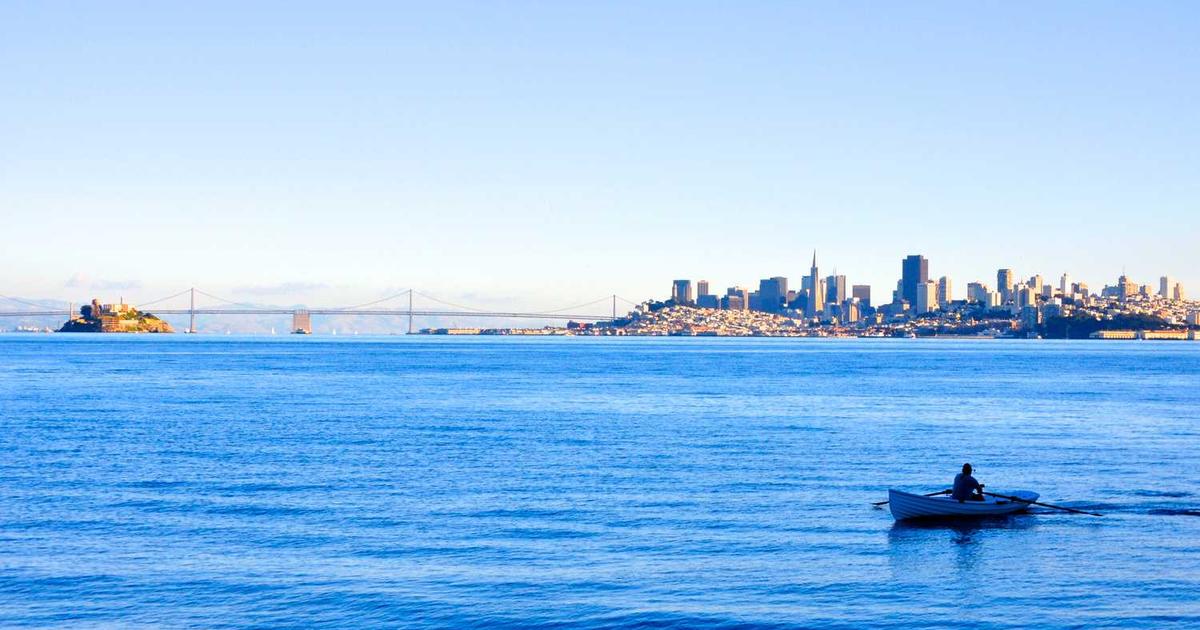 What is Arpio? - Company Overview & Details