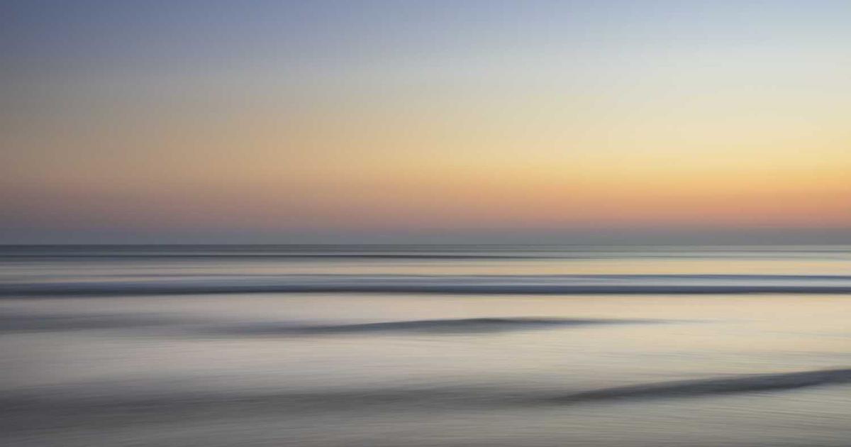 What is Auricle? - Company Overview & Details