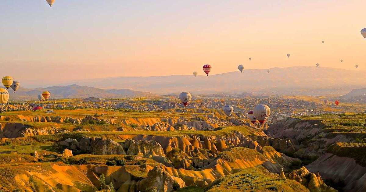 What is Avenue? - Company Overview & Details