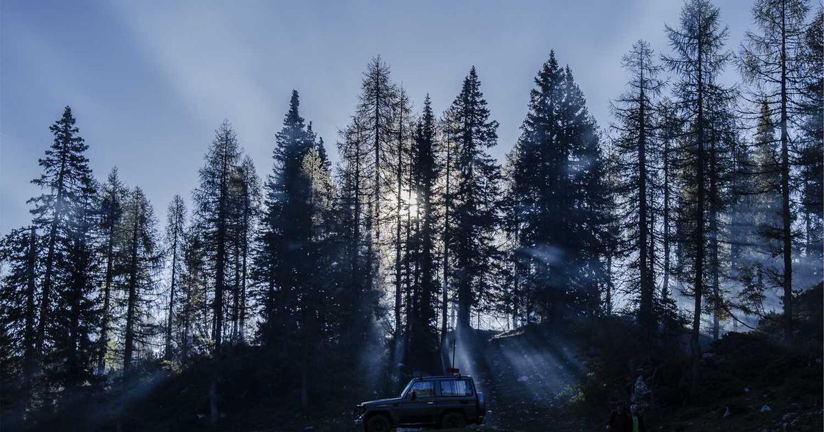 What is Belvo? Company Overview & Details