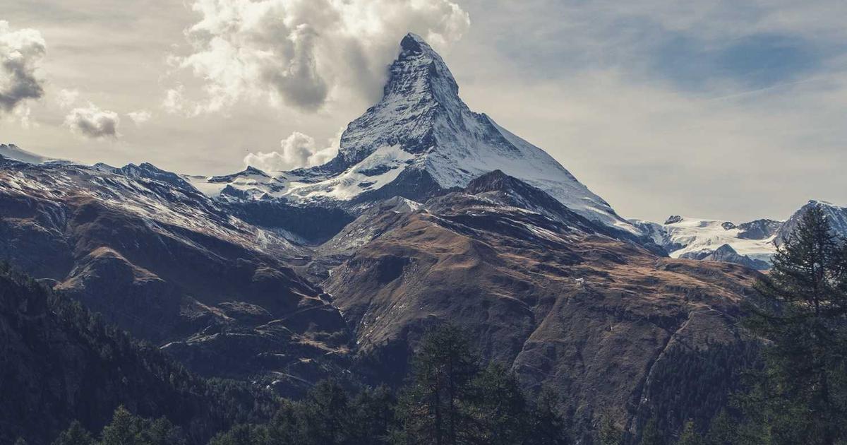 What is Bentocart? - Company Overview & Details