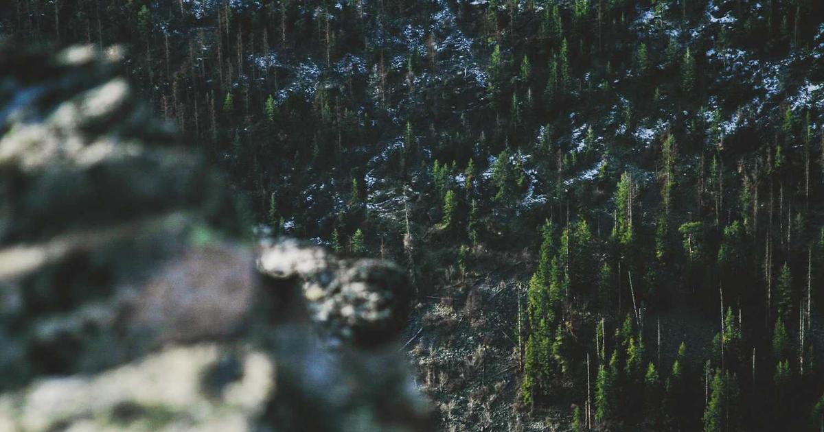 What is Berry? - Company Overview & Details