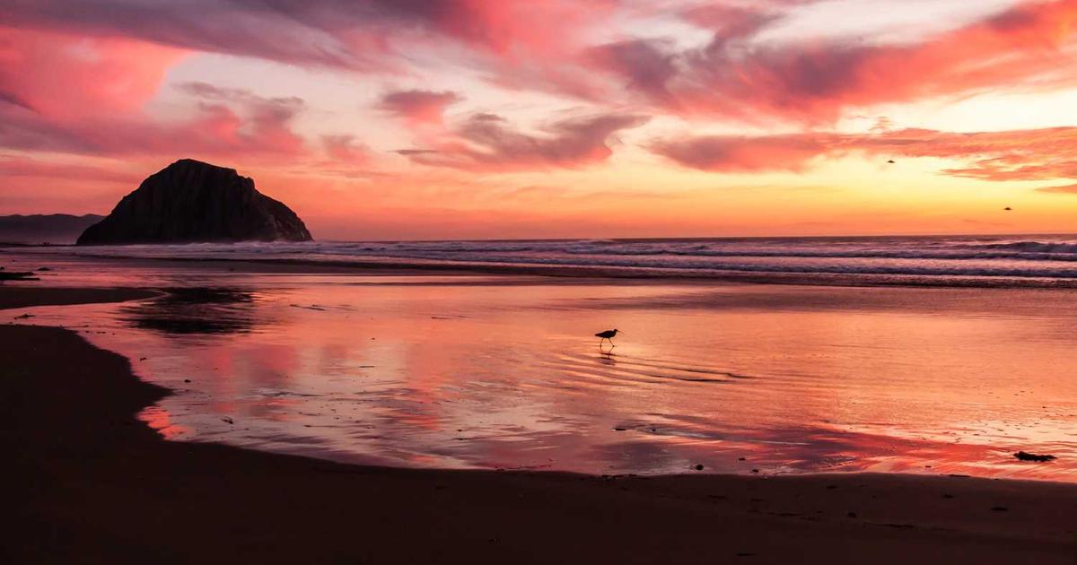 What is BeWell Digital? - Company Overview & Details