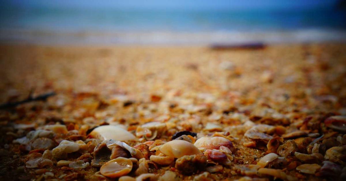 What is BIK? - Company Overview & Details