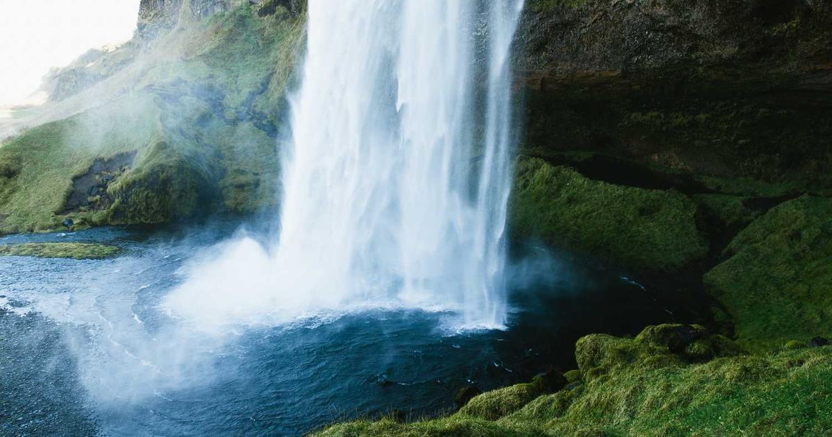 What is Bitmovin? - Company Overview & Details