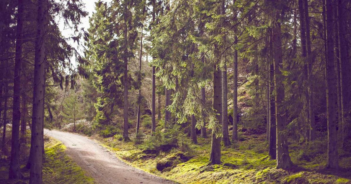 What is Bits? - Company Overview & Details