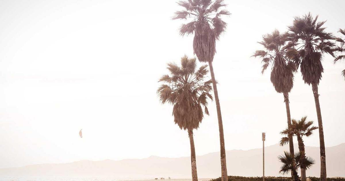 What is Blink? - Company Overview & Details