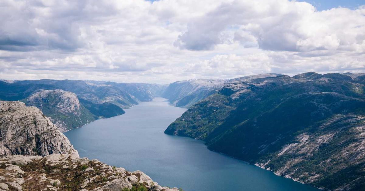 What is Bouncer? - Company Overview & Details