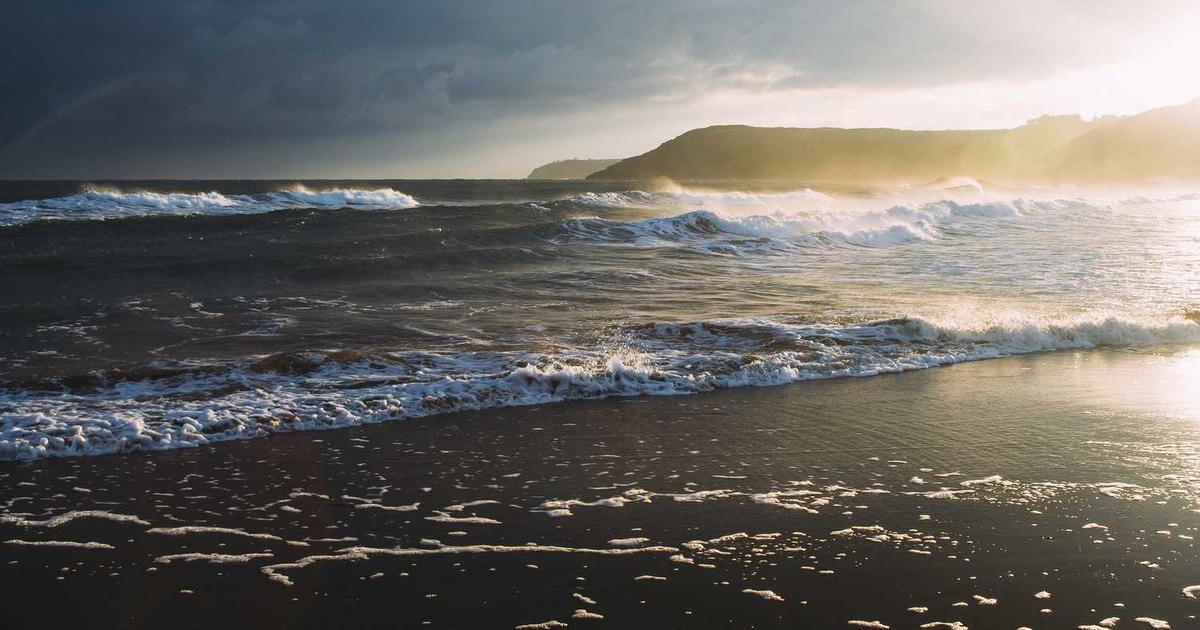 What is Caper? - Company Overview & Details