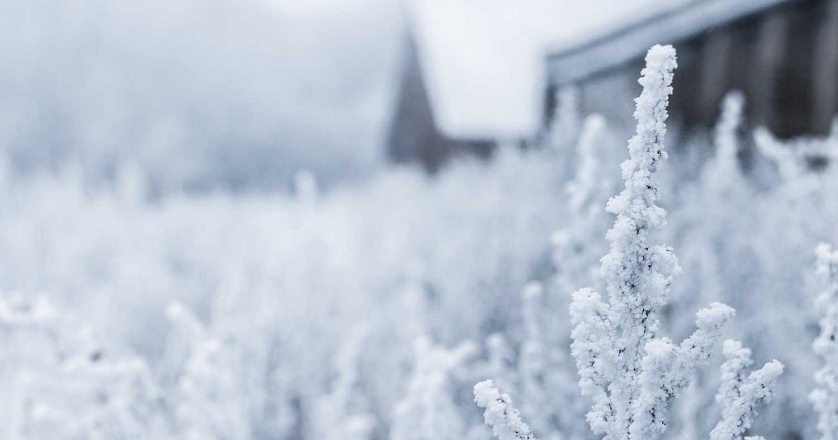 What is CITYFURNISH? - Company Overview & Details