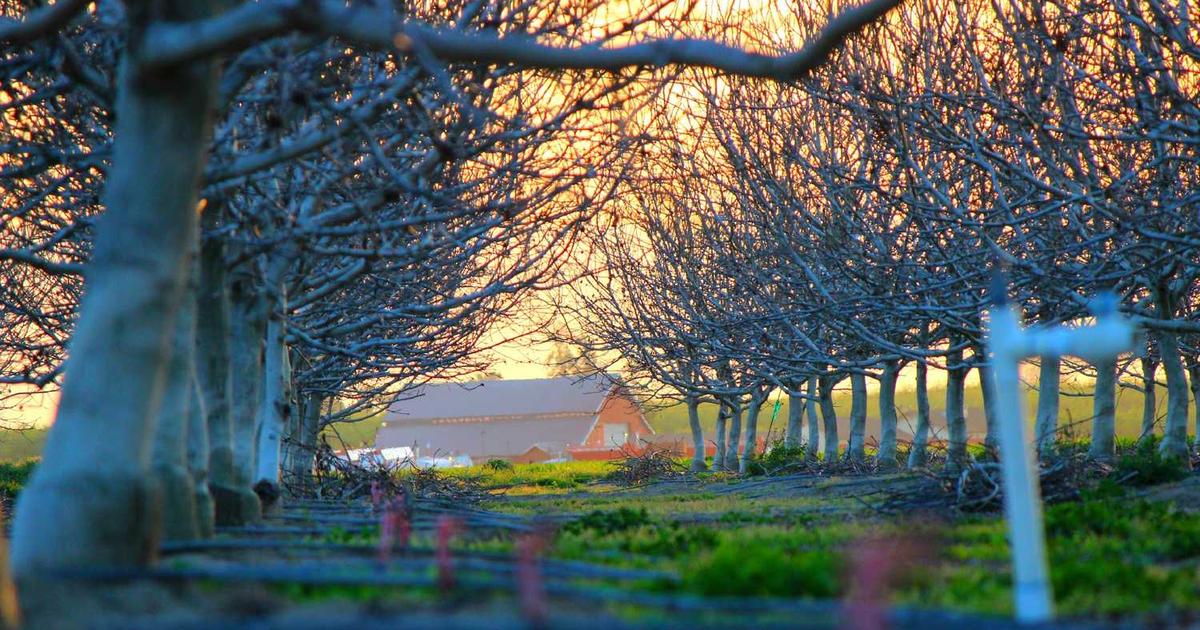 What is ClearMix? - Company Overview & Details