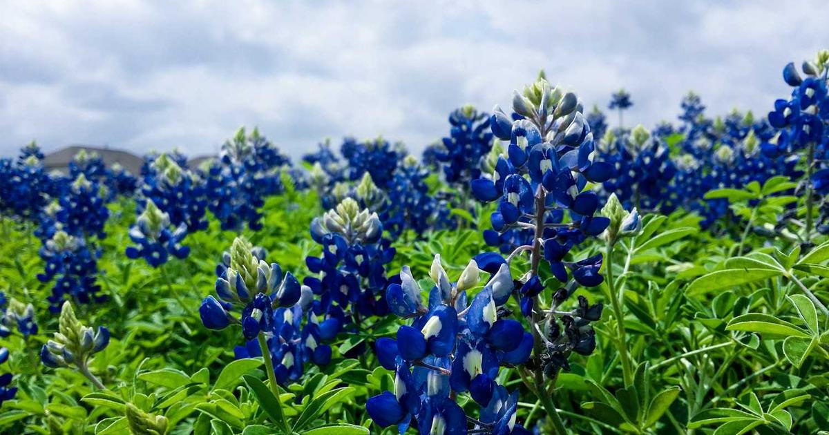 What is Clip Health? - Company Overview & Details