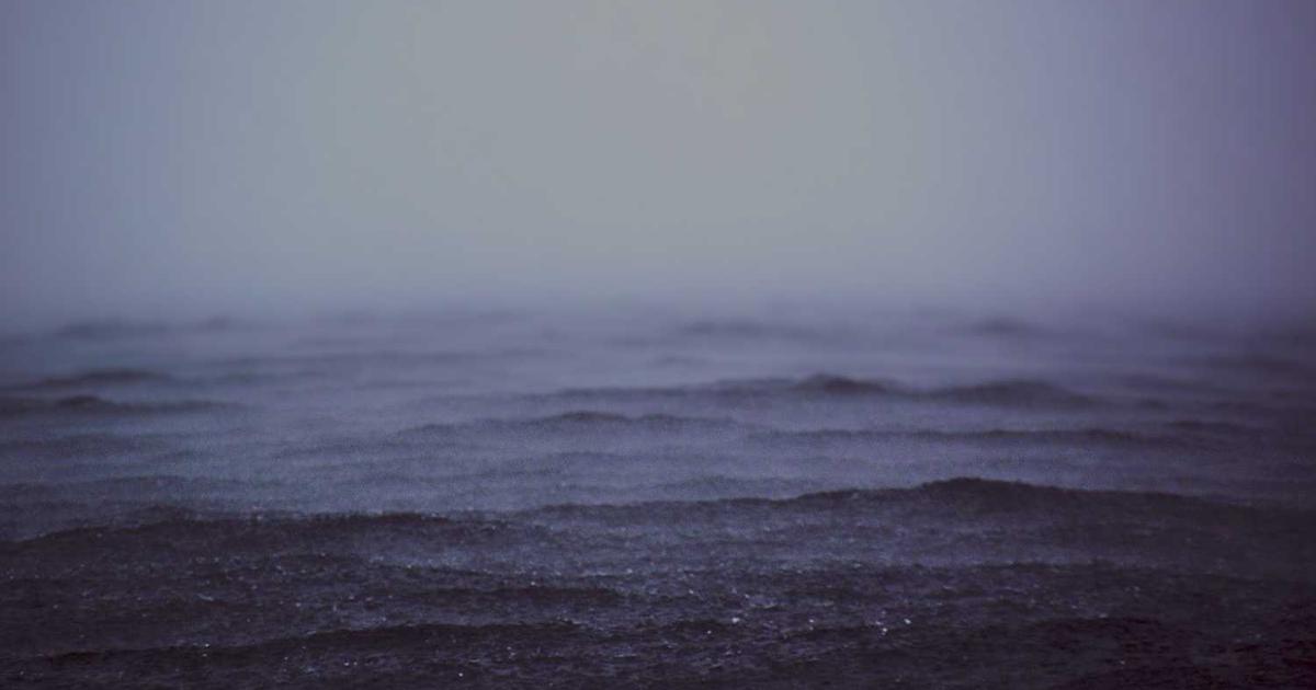 What is Constant? - Company Overview & Details