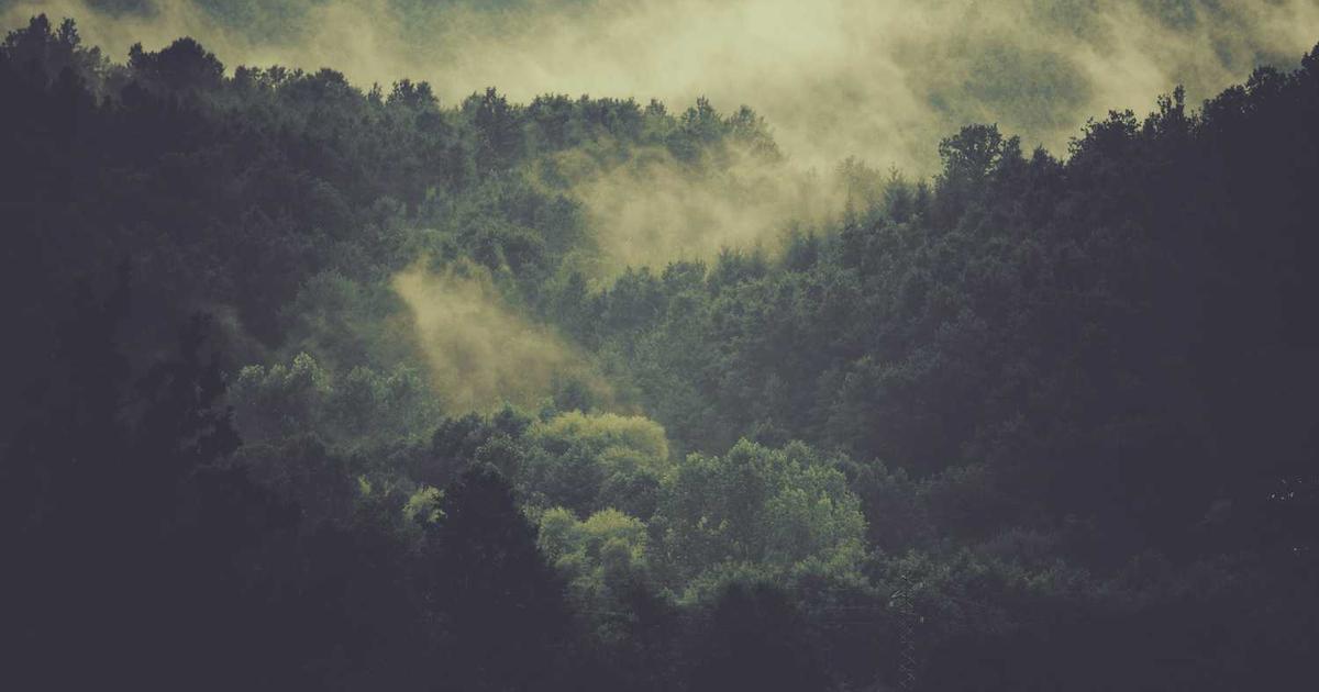 What is Convictional? - Company Overview & Details