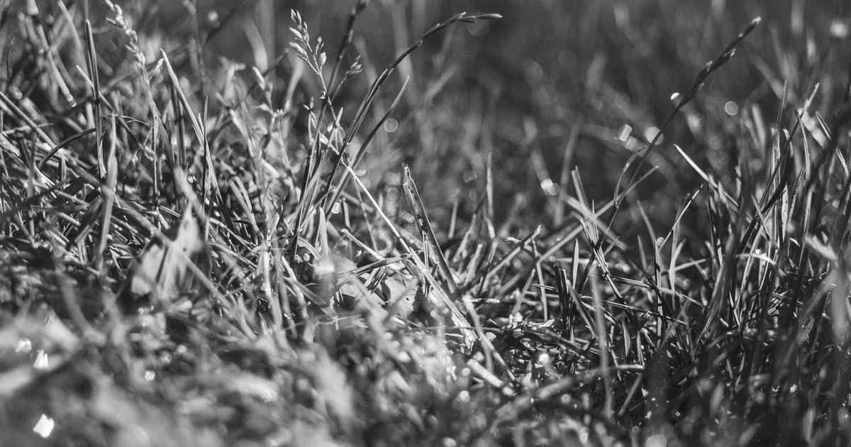 What is Curvenote? - Company Overview & Details