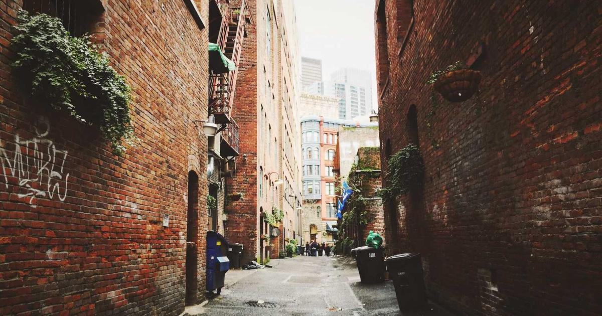 What is Daedalus? - Company Overview & Details