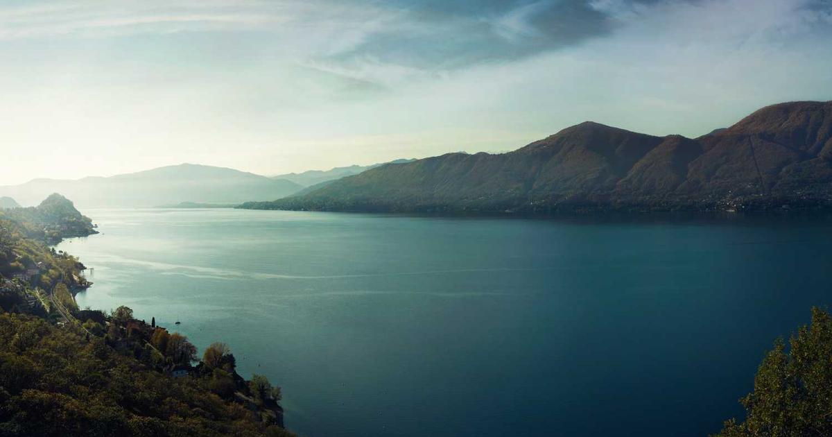 What is Datrics? - Company Overview & Details