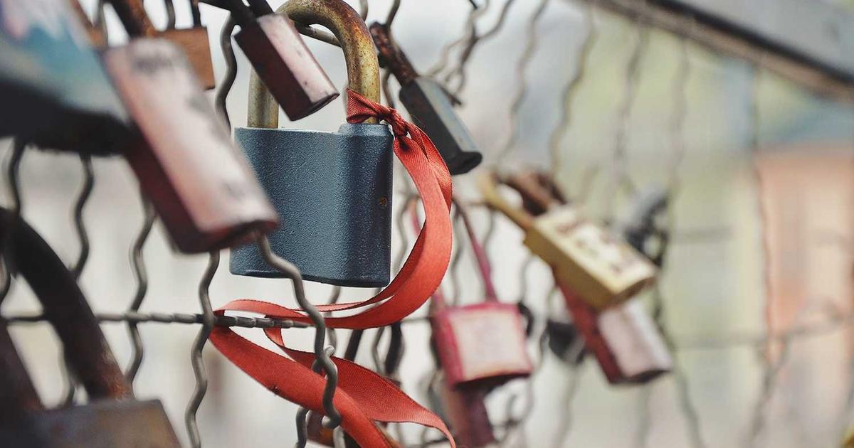 What is DevCycle? - Company Overview & Details