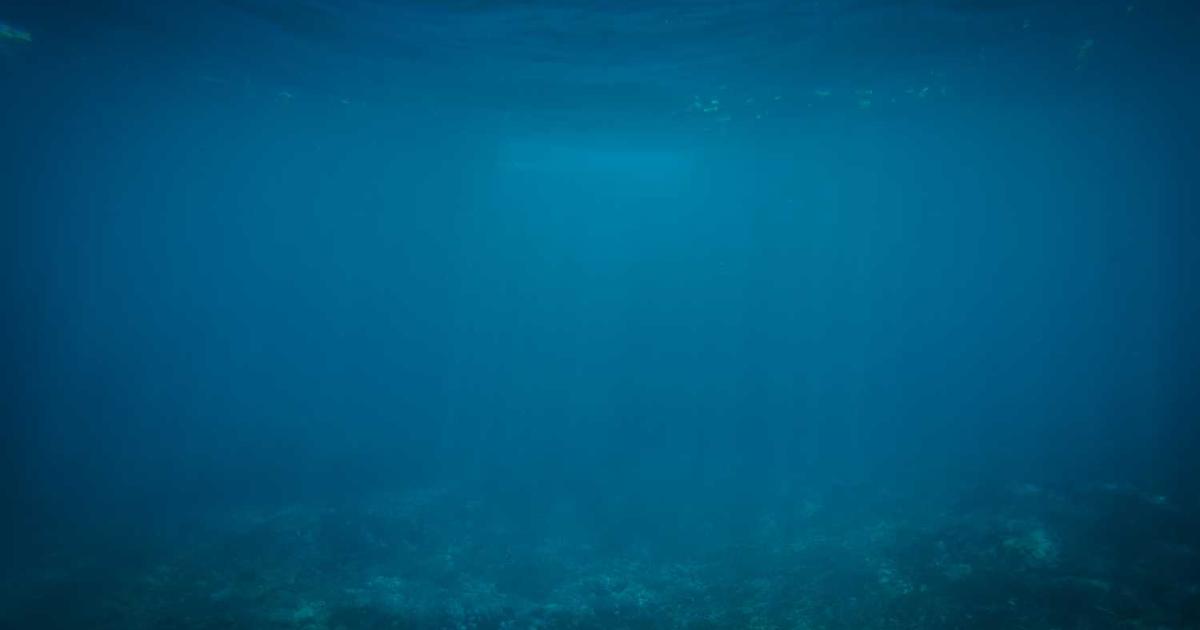 What is Embark Trucks? - Company Overview & Details