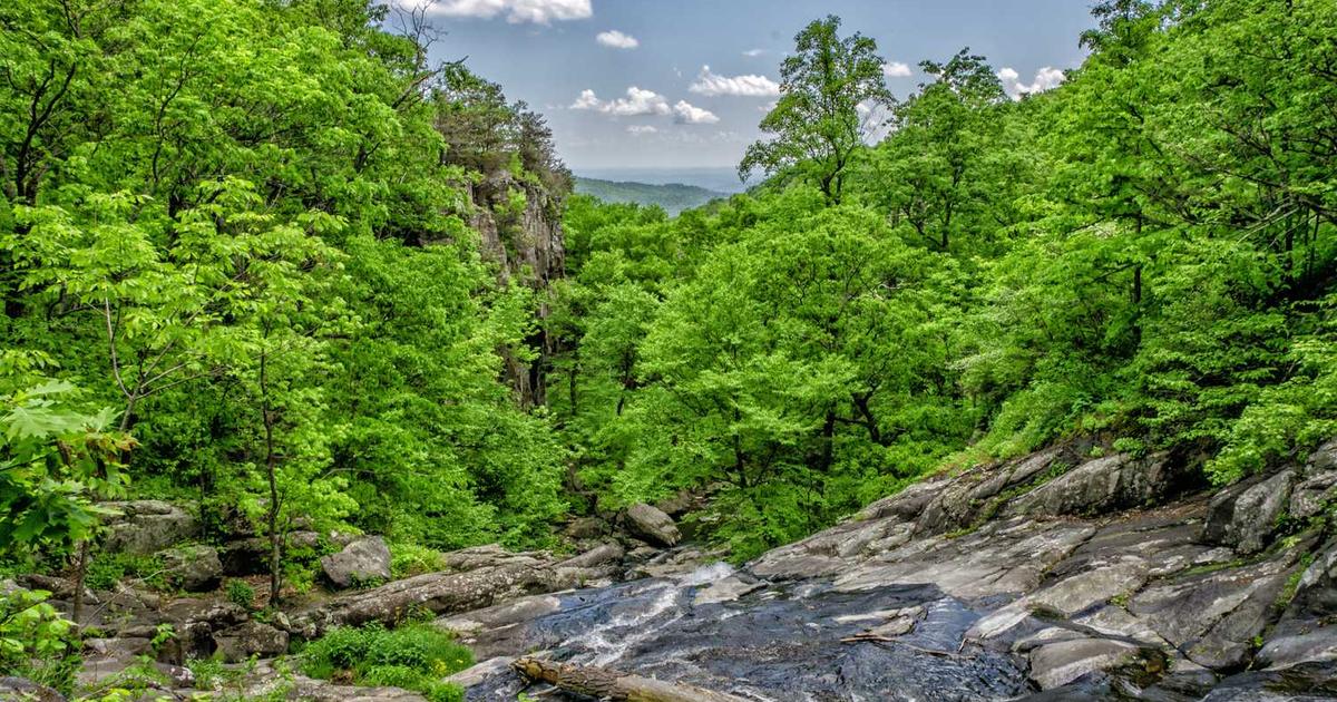 What is Equator Therapeutics? - Company Overview & Details