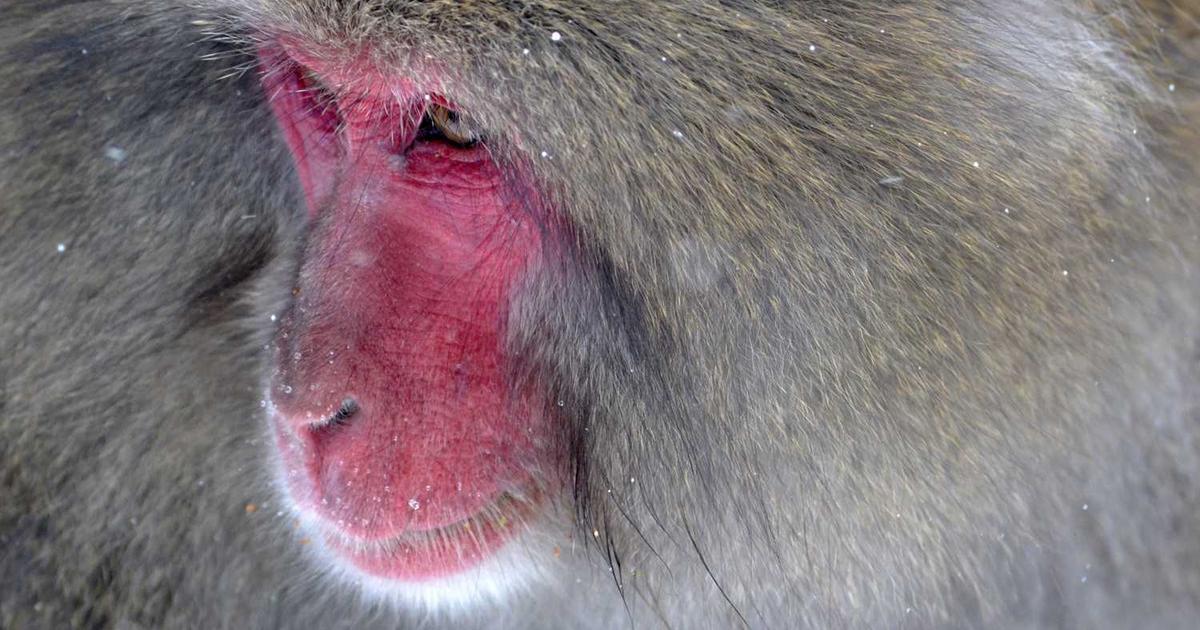 What is Fabius? - Company Overview & Details