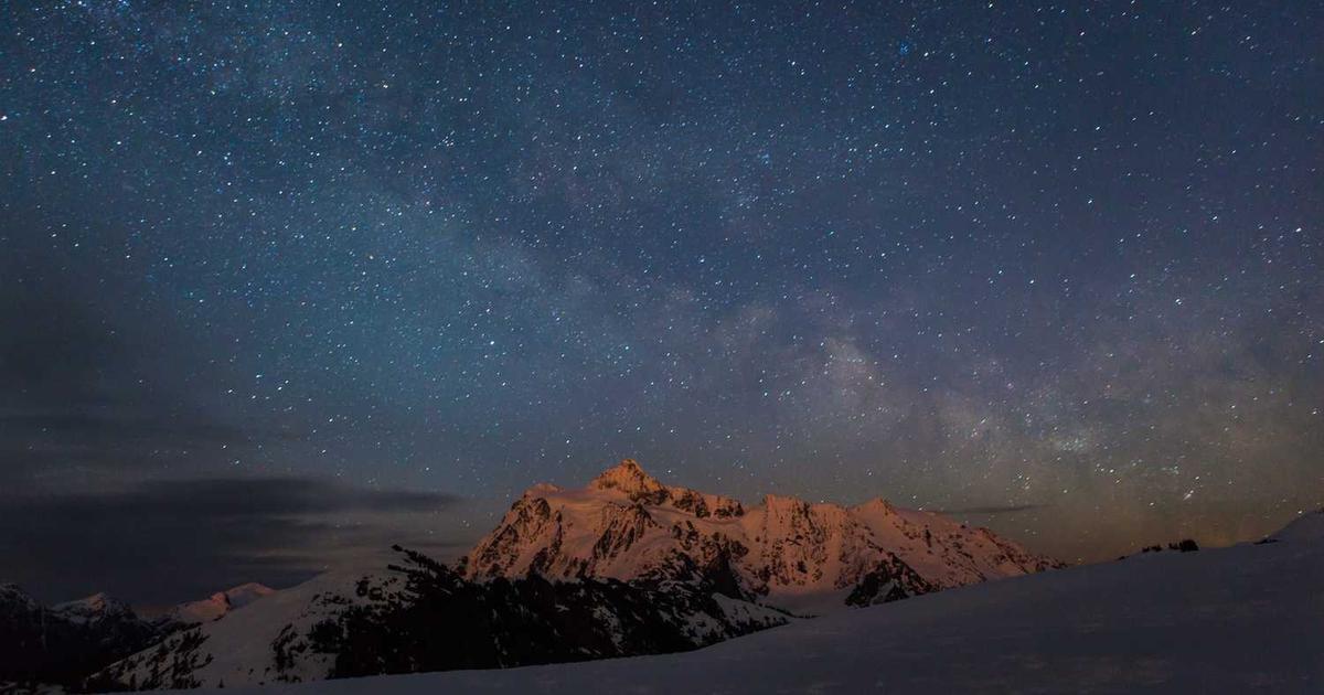 What is FightCamp? - Company Overview & Details