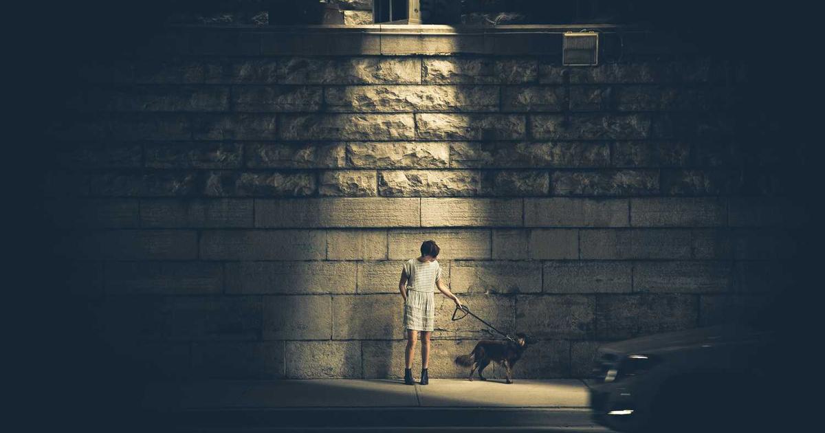 What is Finmark? Company Overview & Details