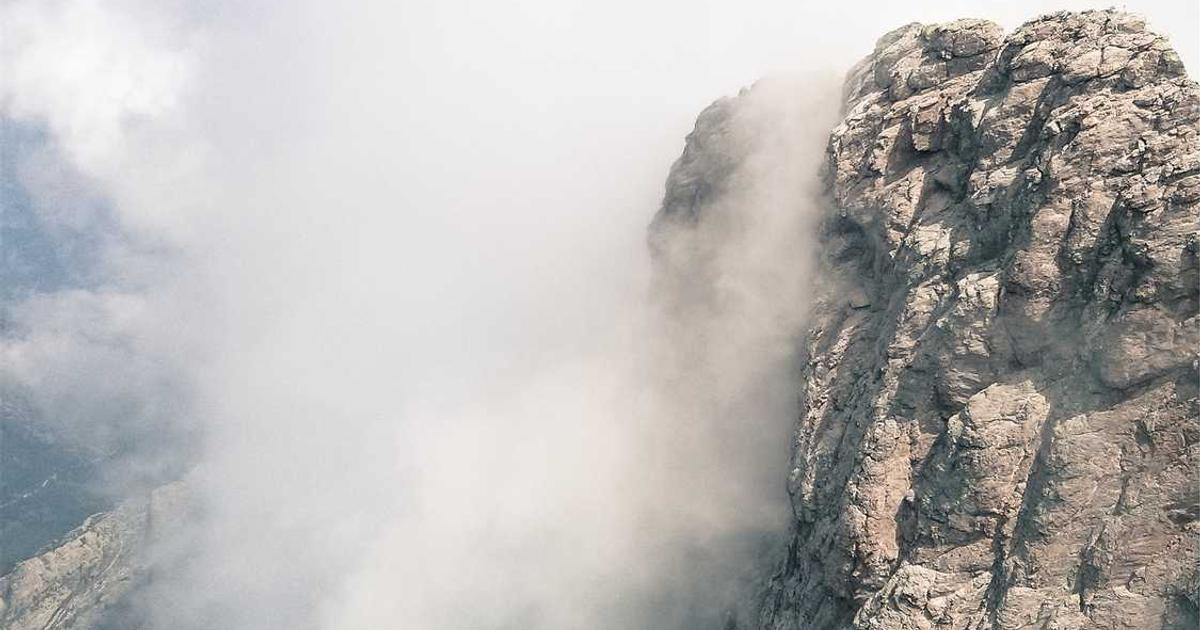 What is FlutterFlow? - Company Overview & Details