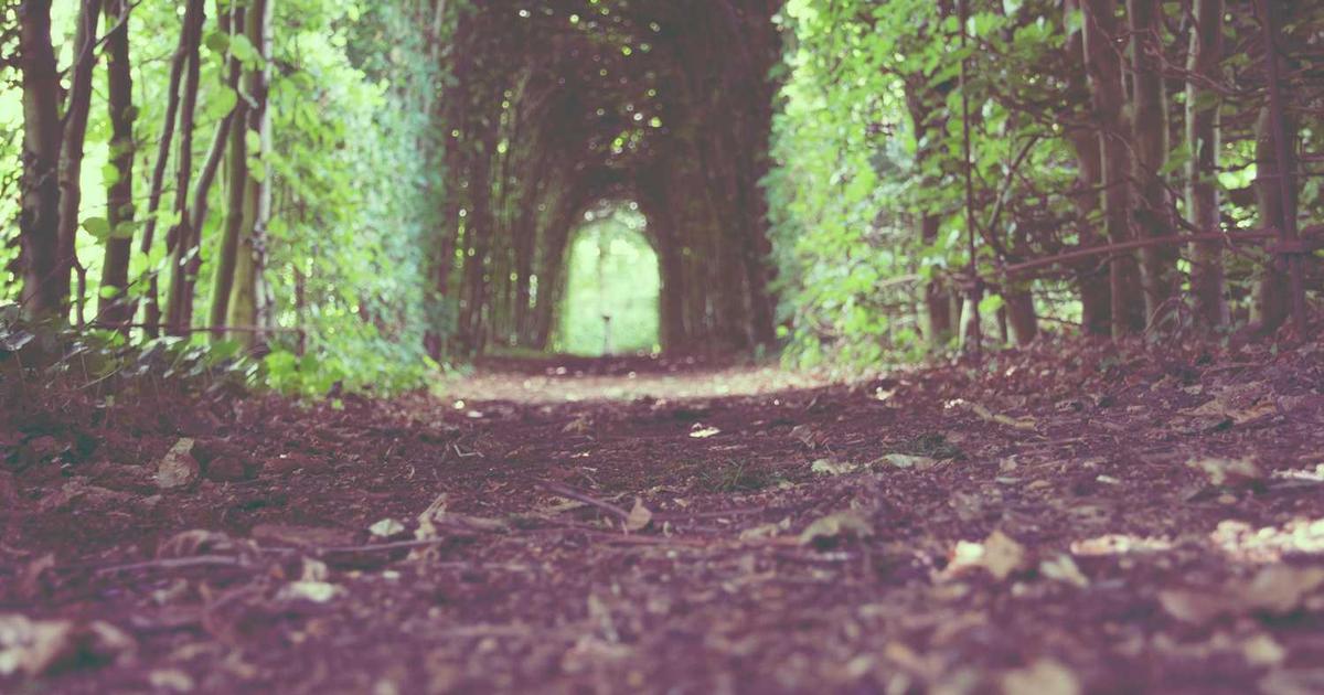 What is Focal Systems? - Company Overview & Details