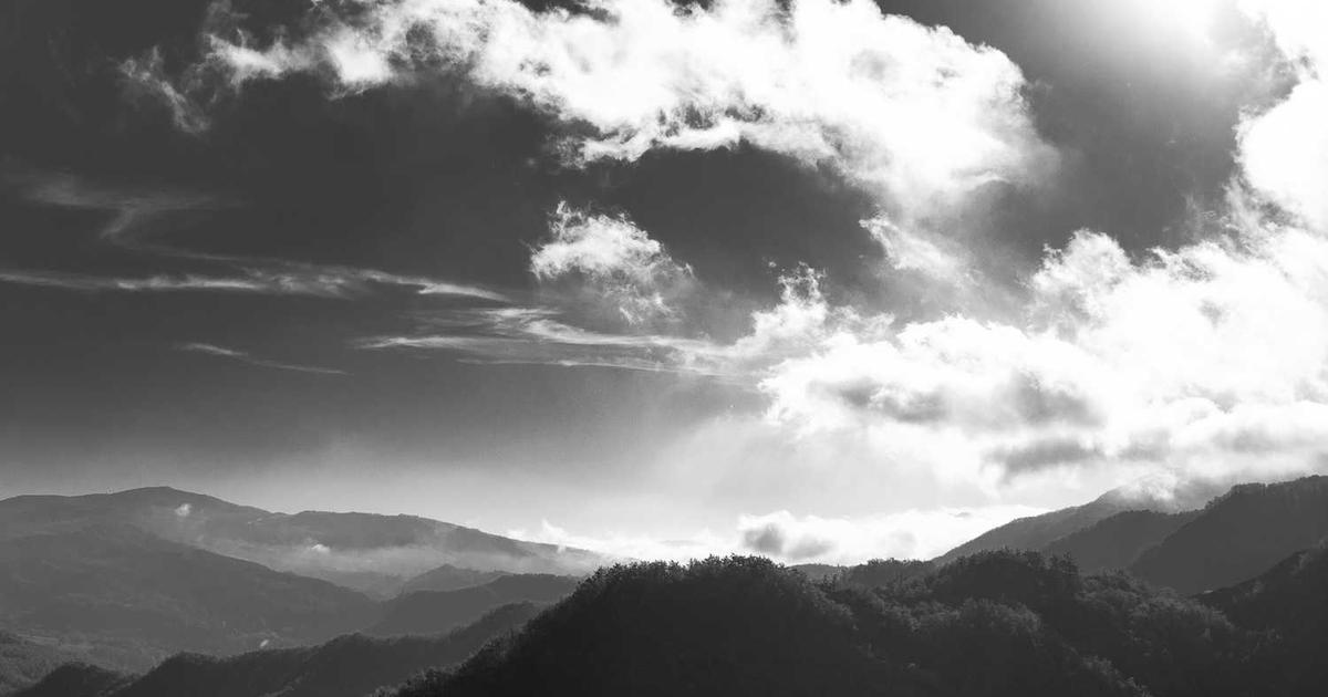 What is Fondeadora? - Company Overview & Details