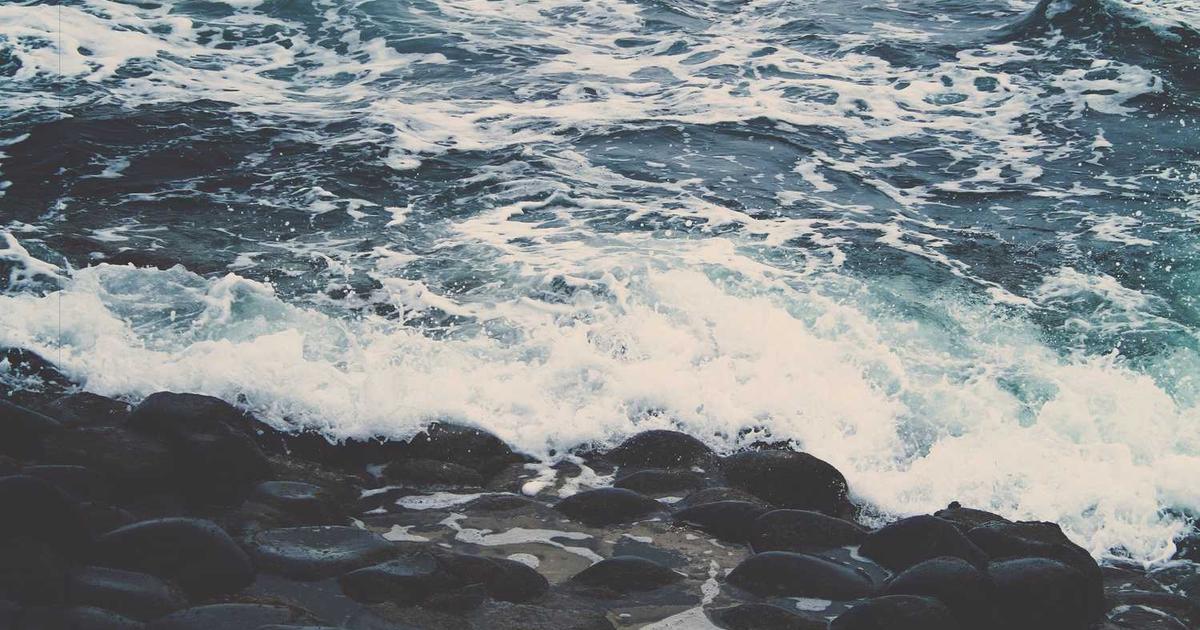 What is Foreword? Company Overview & Details