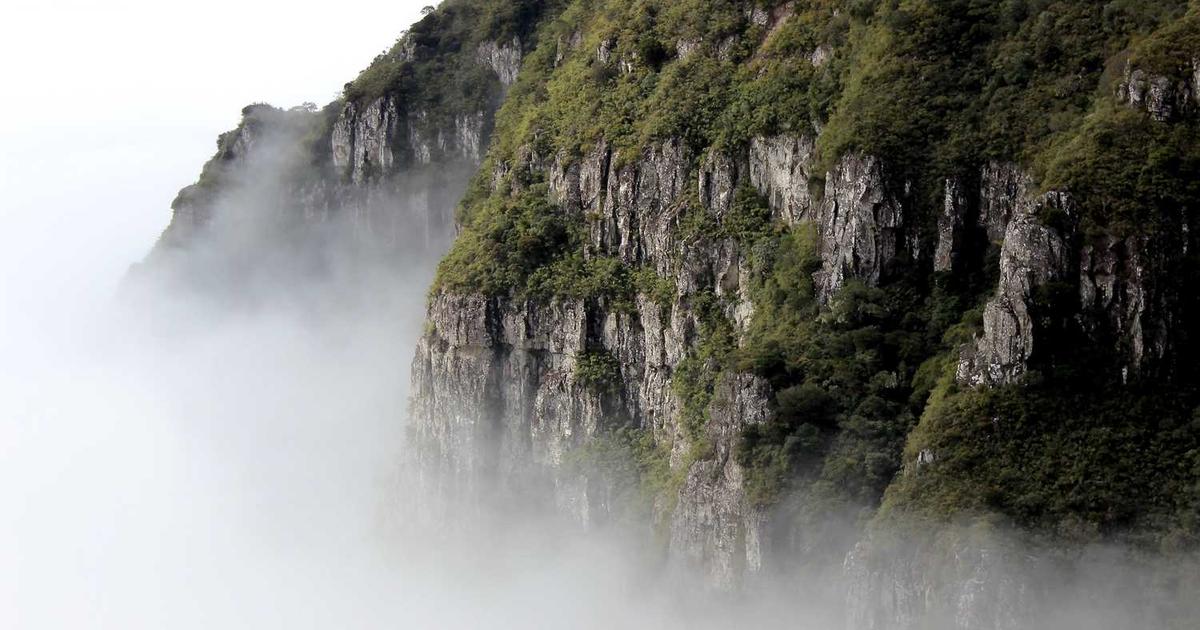 What is Fractional? - Company Overview & Details