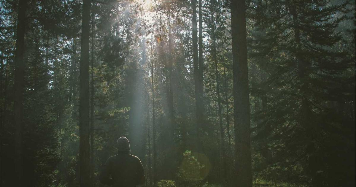 What is Garten Rothkopf? Company Overview & Details