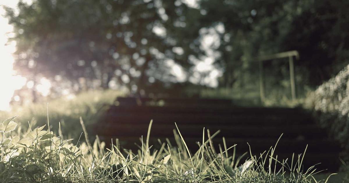 What is Gerald (YC W21)? - Company Overview & Details