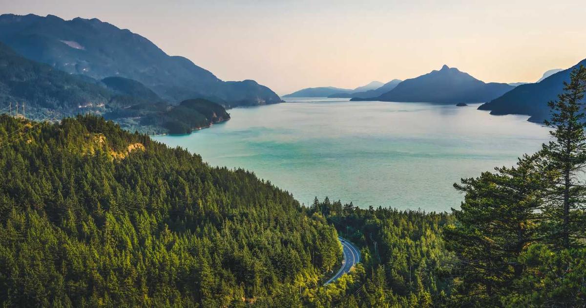 What is GoGoGrandparent? - Company Overview & Details