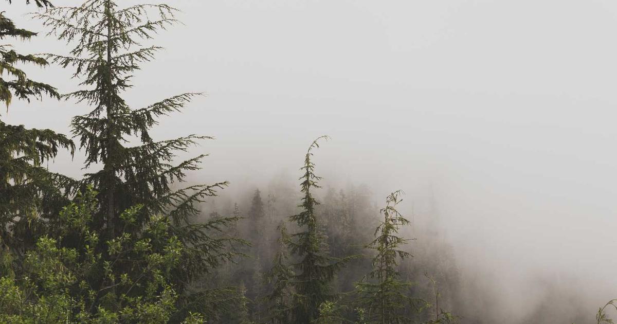 What is H1? - Company Overview & Details