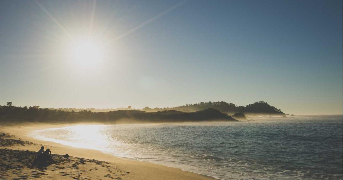 What is Hellosaurus? - Company Overview & Details