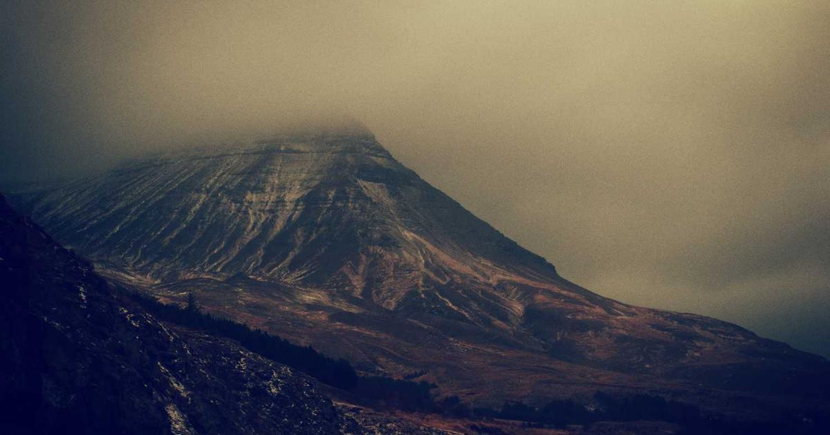 What is Humanlike? - Company Overview & Details