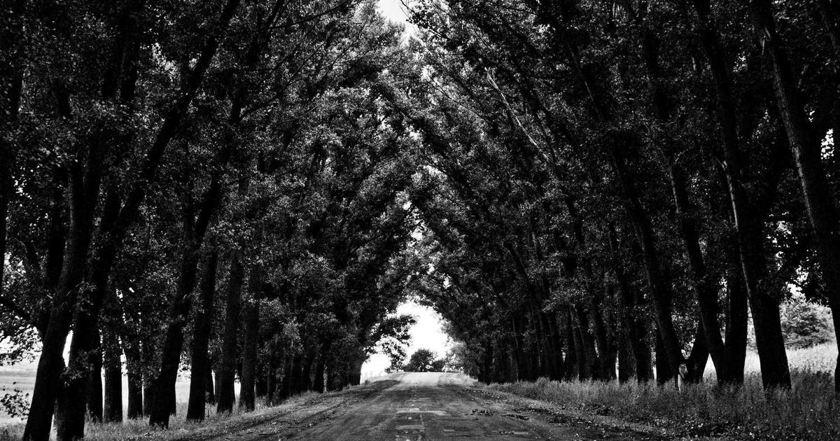 What is In Your Corner? - Company Overview & Details