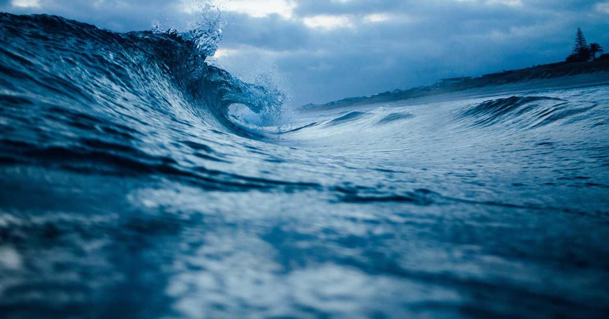 What is Inspectify? - Company Overview & Details