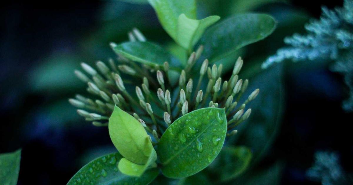 What is Instapath Inc.? - Company Overview & Details