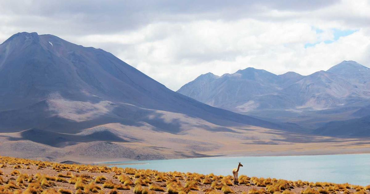 What is Instrumentl? An In-Depth Company Overview & Key Details