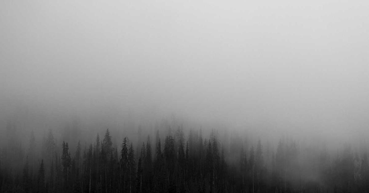 What is Intelligent? - Company Overview & Details