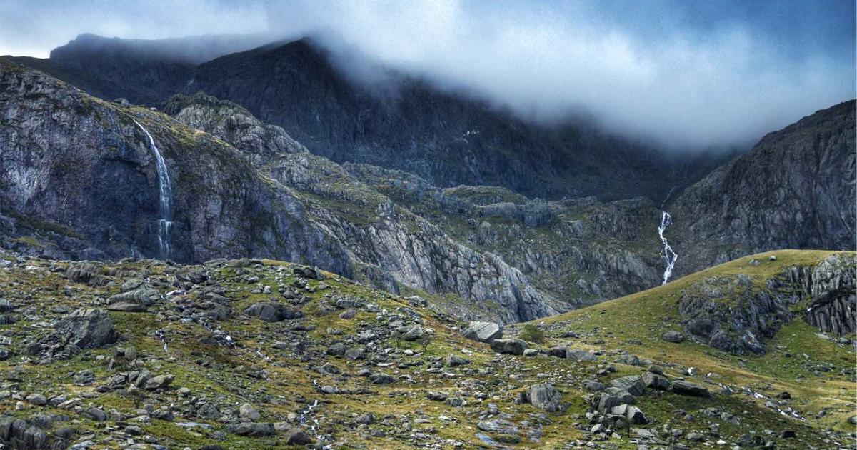 What is Junk Jitsu? - Company Overview & Details