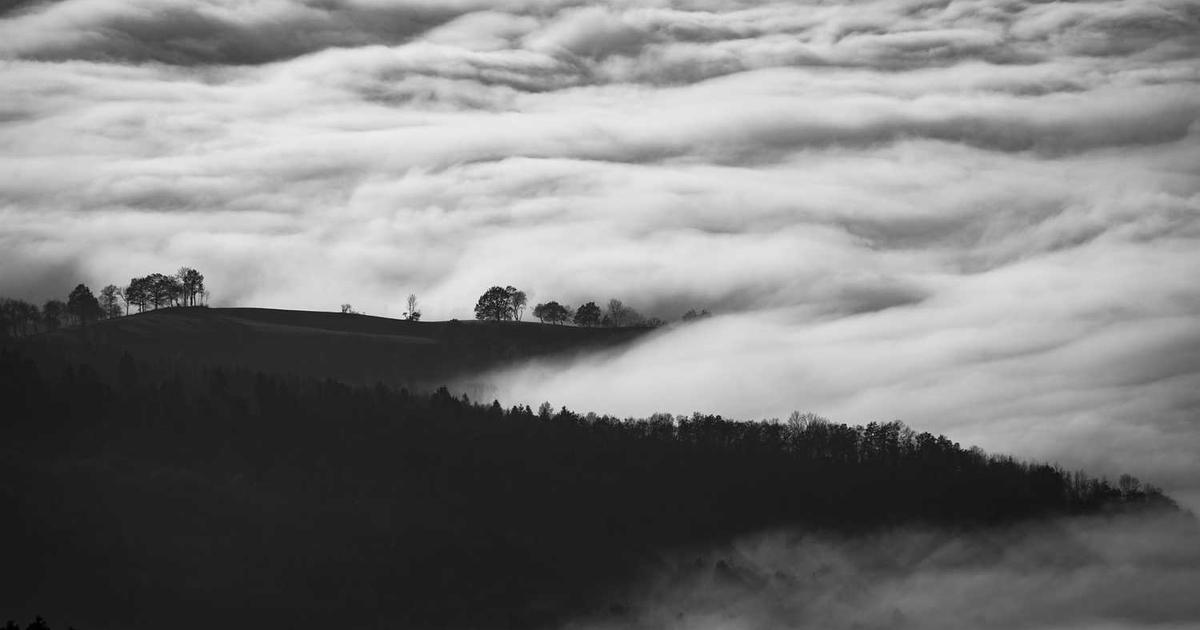 What is Justo? - Company Overview & Details