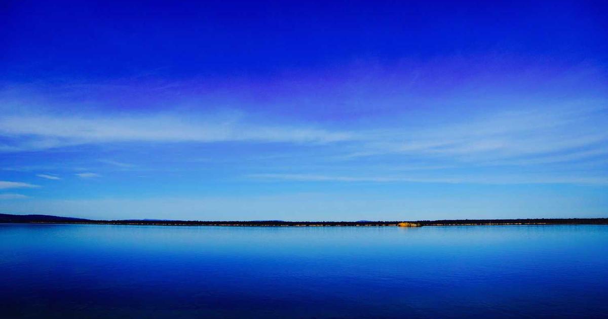 What is Koko? - Company Overview & Details